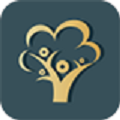 美丽树贷款app