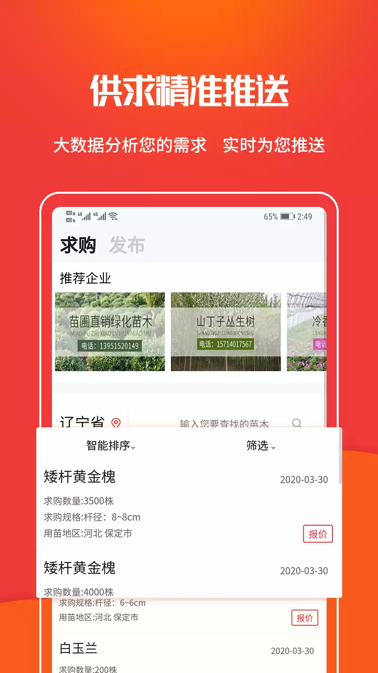 中国树苗网 截图