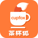 茶杯狐视频app