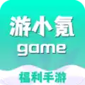 游小氪游戏app