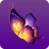 蝴蝶直播app应用