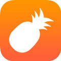 菠萝菠萝蜜视频在线观看app
