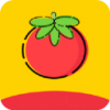 番茄影院app