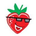 草莓平台直播韩国