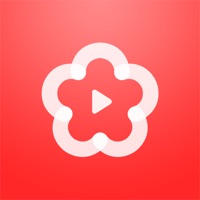 梅花视频app官方 1.5