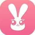 兔子视频app彩色兔子