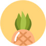 菠萝蜜app汅api免费秋葵在线