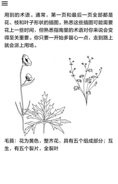 野外植物识别手册 截图