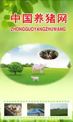 中国养猪网手机版 截图