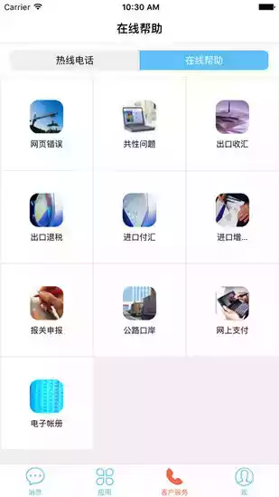 中国电子口岸数据中心  截图