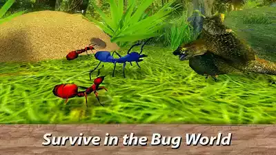 蚂蚁模拟器2d 截图