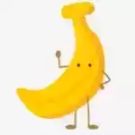 香蕉小说安卓