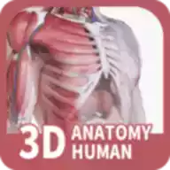 口袋人体解剖3D破解版