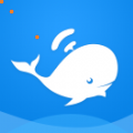 蓝鲸视频app破解版 1.3