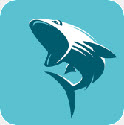 鲨鱼手机视频