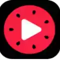 正版西瓜视频app 2.28