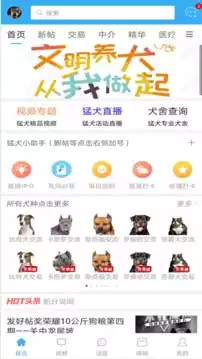 猛犬俱乐部论坛app 截图
