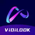 ViDiLOOK