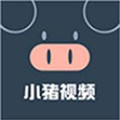 小猪短视频app官网