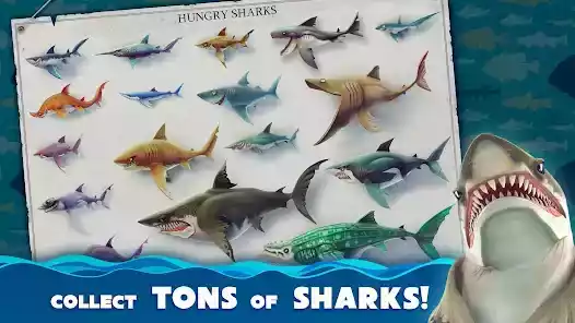 饥饿鲨世界国际服最新版本 截图