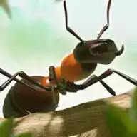 蚂蚁指挥官game